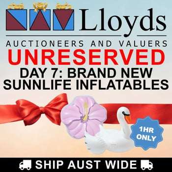 UNRESERVED Day 7: Brand New SUNNYLife Inflatables