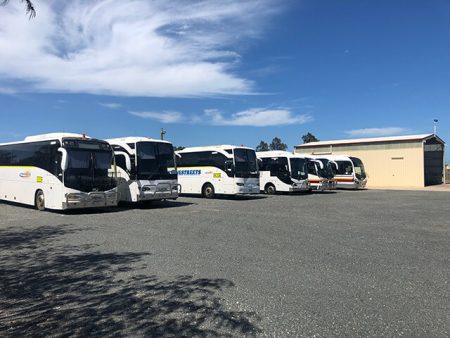 The Lloyds bus is coming and everybody’s jumping! - Lloyds Auctions Rural