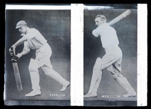 cricket